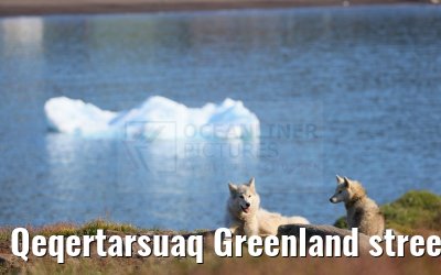 Qeqertarsuaq Greenland street and city impressions 06.08.2024