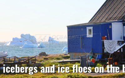 icebergs and ice floes on the beach in Qeqertarsuaq 12.08.2024