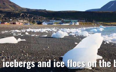 icebergs and ice floes on the beach in Qeqertarsuaq 12.08.2024