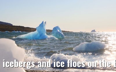 icebergs and ice floes on the beach in Qeqertarsuaq 12.08.2024