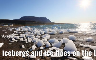 icebergs and ice floes on the beach in Qeqertarsuaq 12.08.2024