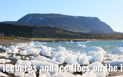 icebergs and ice floes on the beach in Qeqertarsuaq 12.08.2024