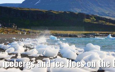 icebergs and ice floes on the beach in Qeqertarsuaq 12.08.2024