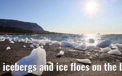 icebergs and ice floes on the beach in Qeqertarsuaq 12.08.2024