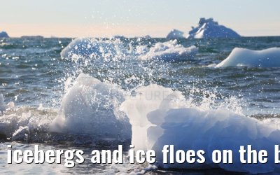 icebergs and ice floes on the beach in Qeqertarsuaq 12.08.2024
