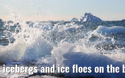 icebergs and ice floes on the beach in Qeqertarsuaq 12.08.2024
