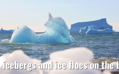 icebergs and ice floes on the beach in Qeqertarsuaq 12.08.2024