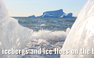 icebergs and ice floes on the beach in Qeqertarsuaq 12.08.2024