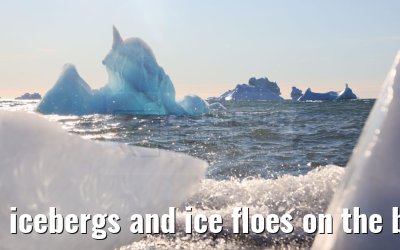 icebergs and ice floes on the beach in Qeqertarsuaq 12.08.2024