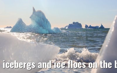 icebergs and ice floes on the beach in Qeqertarsuaq 12.08.2024