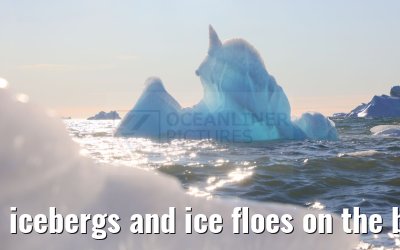 icebergs and ice floes on the beach in Qeqertarsuaq 12.08.2024