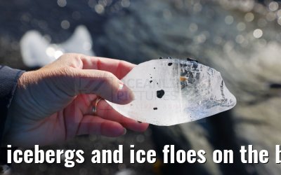 icebergs and ice floes on the beach in Qeqertarsuaq 12.08.2024