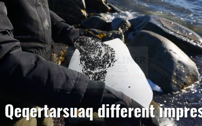 Qeqertarsuaq different impressions 12.08.2024