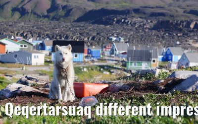 Qeqertarsuaq different impressions 12.08.2024