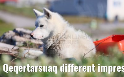 Qeqertarsuaq different impressions 12.08.2024
