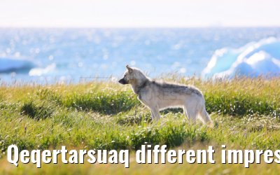 Qeqertarsuaq different impressions 12.08.2024