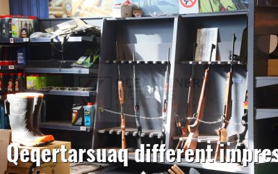 Qeqertarsuaq different impressions 12.08.2024