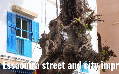 Essaouira street and city impressions 27.02.2025