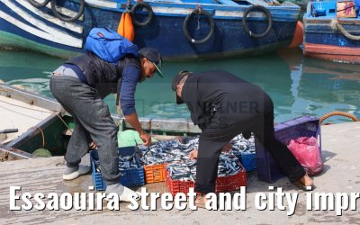 Essaouira street and city impressions 27.02.2025