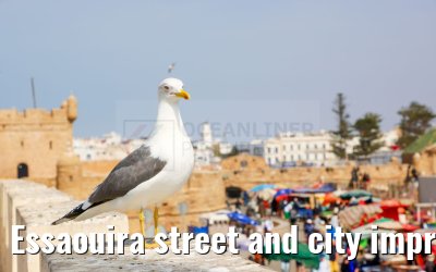Essaouira street and city impressions 27.02.2025