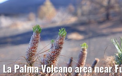 La Palma Volcano area near Fuencaliente 17.03.2022