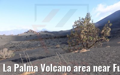 La Palma Volcano area near Fuencaliente 17.03.2022
