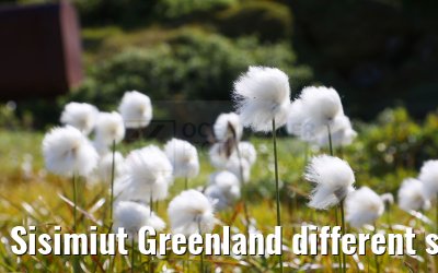 Sisimiut Greenland different street and city impressions 05.08.2024