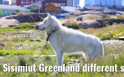 Sisimiut Greenland different street and city impressions 05.08.2024