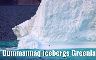 Uummannaq icebergs Greenland 13.08.2024