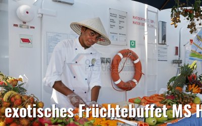 exotisches Früchtebuffet MS Hamburg