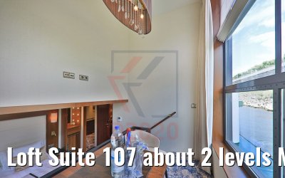 Loft Suite 107 about 2 levels MS Inspire