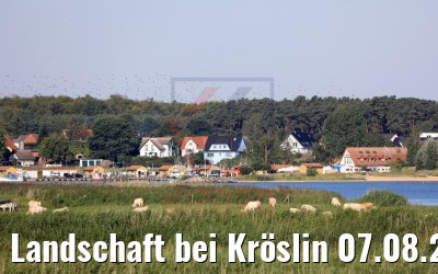 Landschaft bei Kröslin 07.08.2020