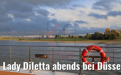 Lady Diletta abends bei Düsseldorf 23.10.2020