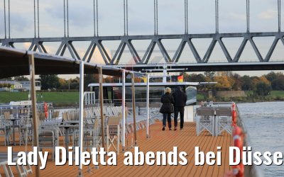 Lady Diletta abends bei Düsseldorf 23.10.2020