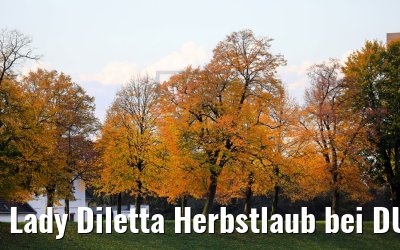 Lady Diletta Herbstlaub bei DUS 23.10.2020