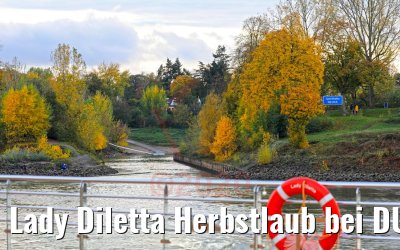 Lady Diletta Herbstlaub bei DUS 23.10.2020