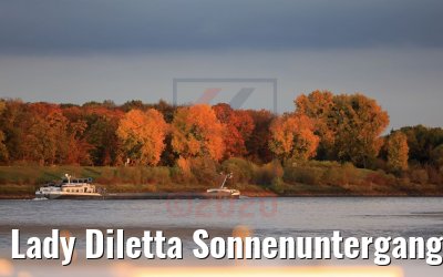 Lady Diletta Sonnenuntergang bei Düsseldorf 23.10.2020