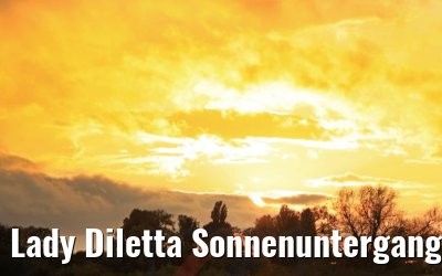Lady Diletta Sonnenuntergang bei Düsseldorf 23.10.2020