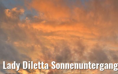 Lady Diletta Sonnenuntergang bei Düsseldorf 23.10.2020