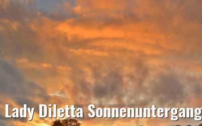 Lady Diletta Sonnenuntergang bei Düsseldorf 23.10.2020