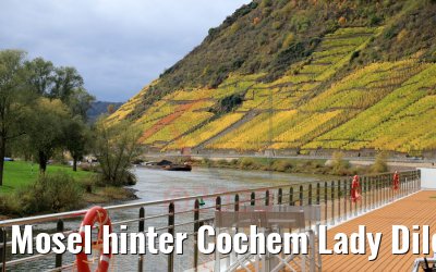 Mosel hinter Cochem Lady Diletta 25.10.2020