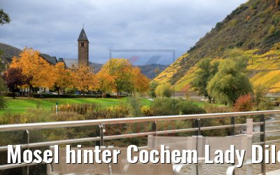 Mosel hinter Cochem Lady Diletta 25.10.2020
