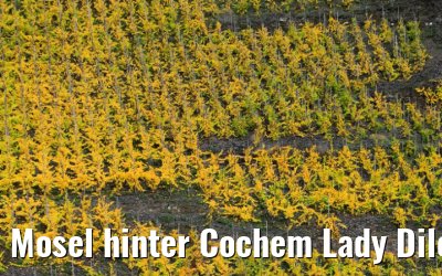 Mosel hinter Cochem Lady Diletta 25.10.2020