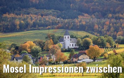 Mosel Impressionen zwischen Trier und Bernkastel 26.10.2010