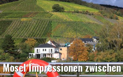 Mosel Impressionen zwischen Trier und Bernkastel 26.10.2010