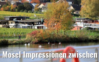 Mosel Impressionen zwischen Trier und Bernkastel 26.10.2010