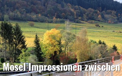 Mosel Impressionen zwischen Trier und Bernkastel 26.10.2010