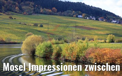Mosel Impressionen zwischen Trier und Bernkastel 26.10.2010