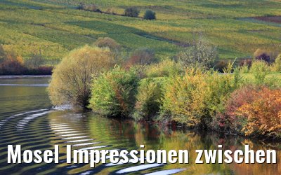Mosel Impressionen zwischen Trier und Bernkastel 26.10.2010