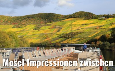 Mosel Impressionen zwischen Trier und Bernkastel 26.10.2010